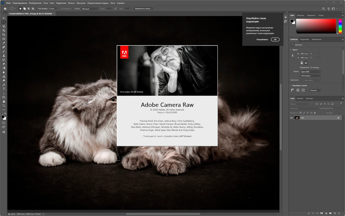 Многофункциональный редактор фотографий Adobe Photoshop 2026 27.8.0.13 — изображение 2