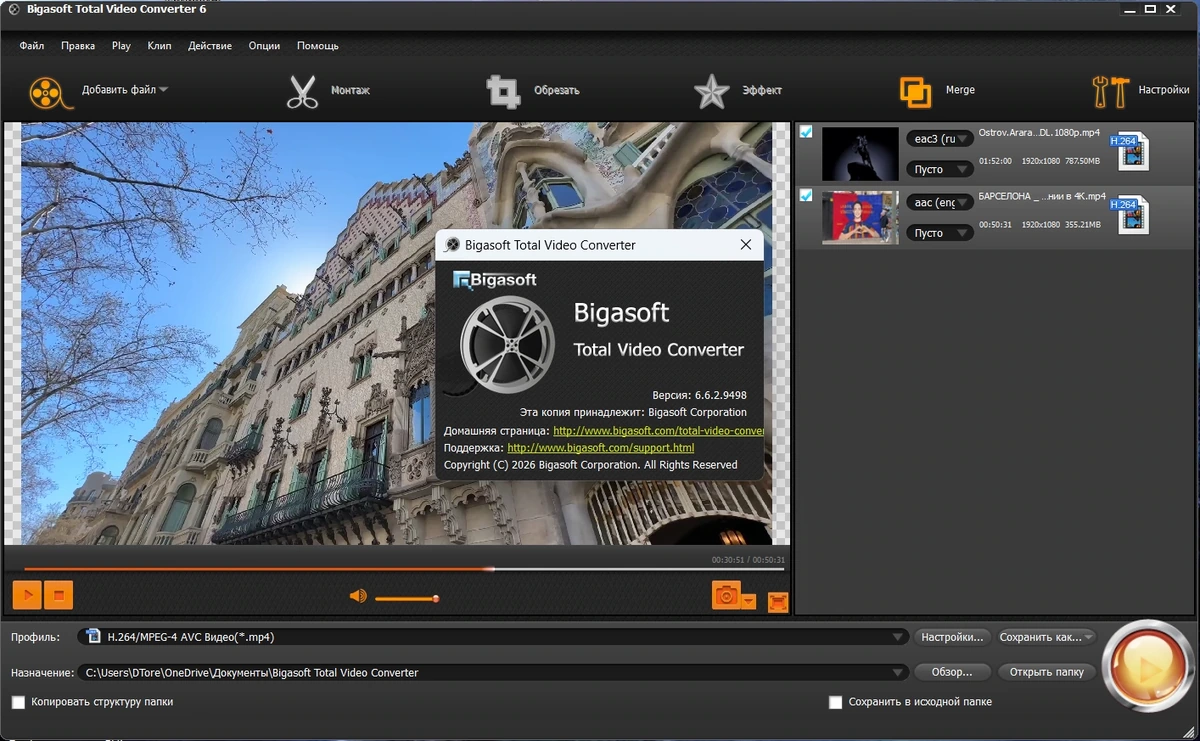 Мощный видеоконвертер Bigasoft Total Video Converter 6.6.2.9498 by elchupacabra — изображение 2