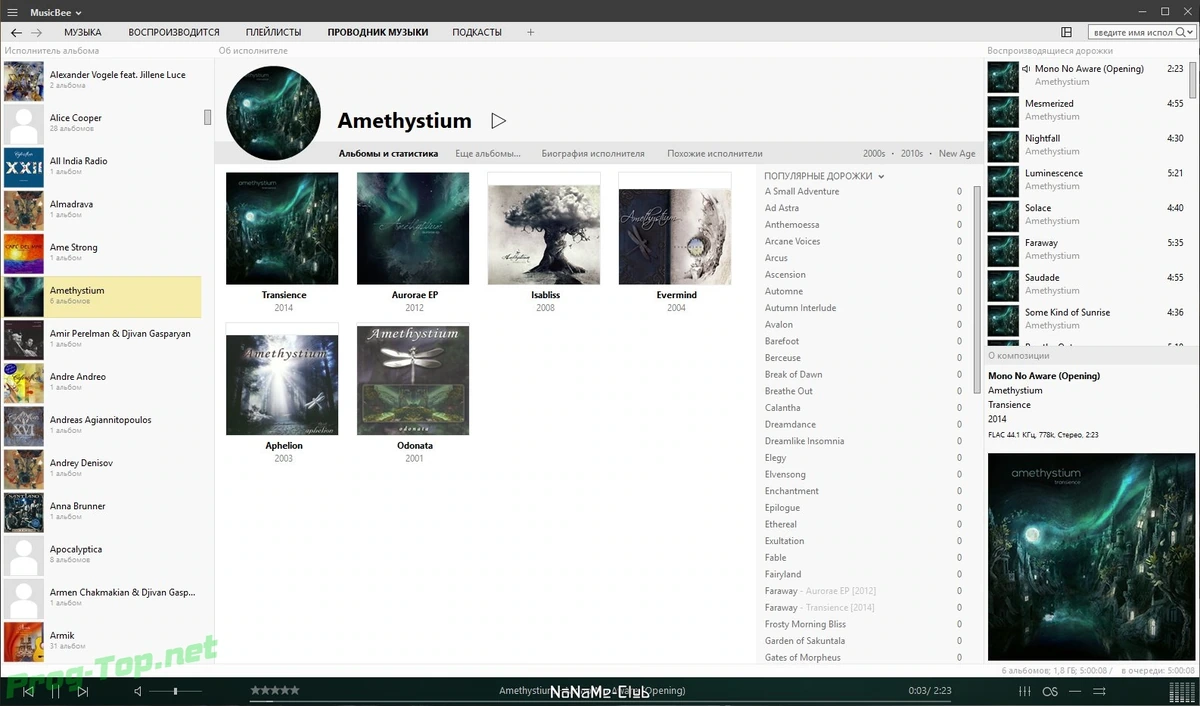 MusicBee управление музыкальной коллекцией 3.3.7491 + Portable — изображение 2