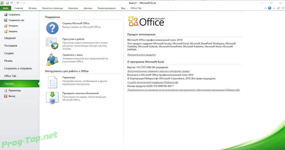 Набор офисных программ - Office 2010 SP2 Professional Plus + Visio Premium + Project Pro 14.0.7257.5000 (2020.08) RePack by KpoJIuK — изображение 2