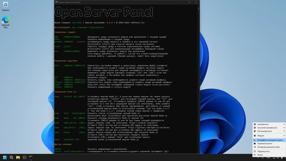 Набор серверного ПО Open Server 6.0.0 — изображение 2