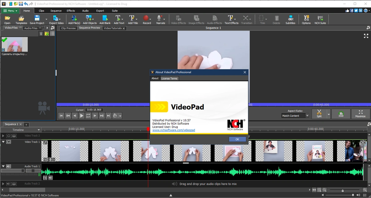 NCH VideoPad Video Editor Pro 10.57 — изображение 2