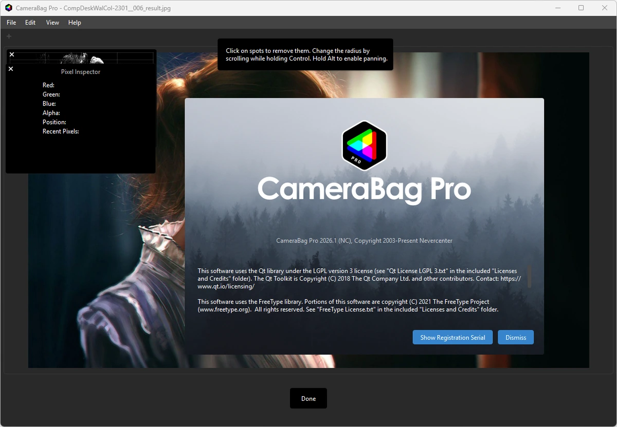 Изменение тона фотоснимков Nevercenter CameraBag Pro 2026.1.0 by elchupacabra — изображение 2