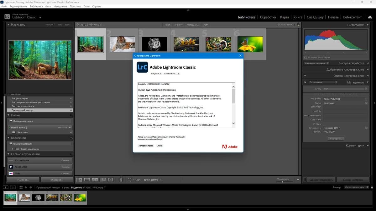 Обработка фотографий Adobe Photoshop Lightroom Classic 2024 14.5.0.4 by KpoJIuK — изображение 2