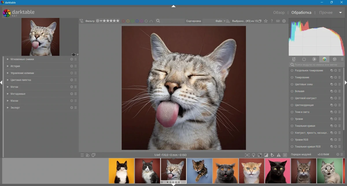 Обработка изображений - darktable 4.2.1 — изображение 2