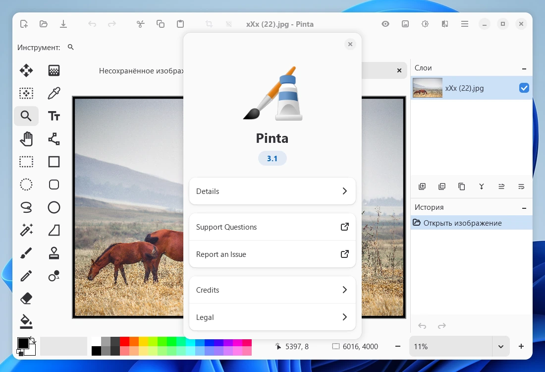 Pinta 3.1 — изображение 2