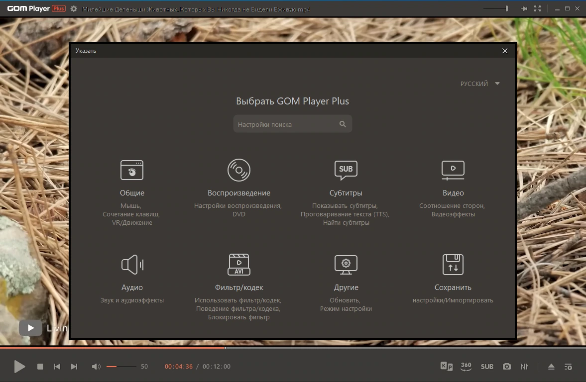 Плеер для видео GOM Player Plus 2.3.88.5358 by Dodakaedr — изображение 2