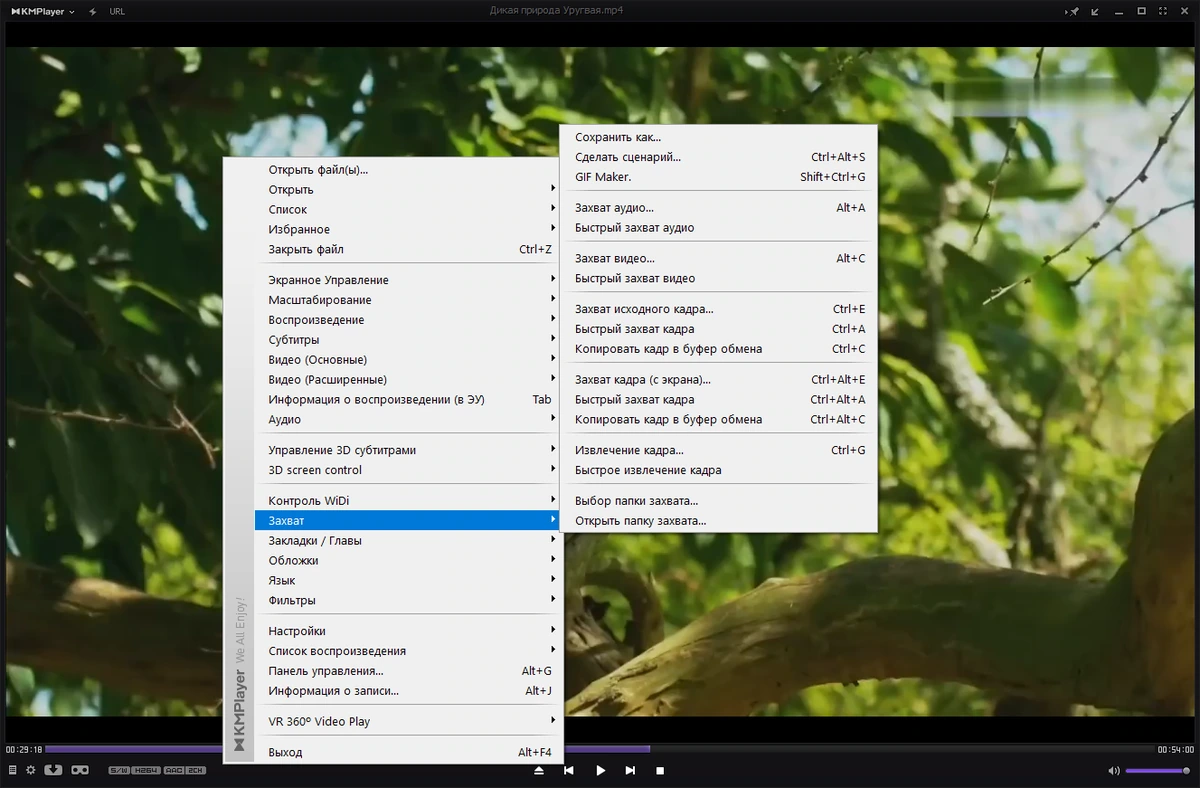 Плеер для Windows KMPlayer 4.2.2.78 Plus (x86) by 7997 — изображение 2