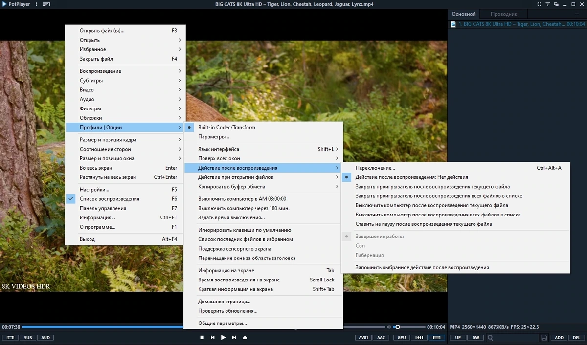 Плеер для просмотра видео - PotPlayer 231110 (1.7.22037) (x64) Stable RePack by 7sh3 — изображение 2