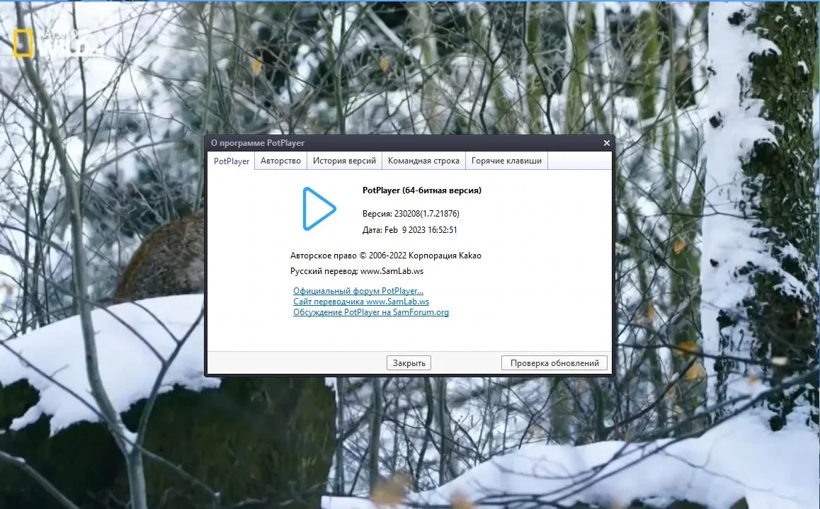 Плеер для Windows - PotPlayer 230208 (1.7.21876) Portable by 7997 — изображение 2