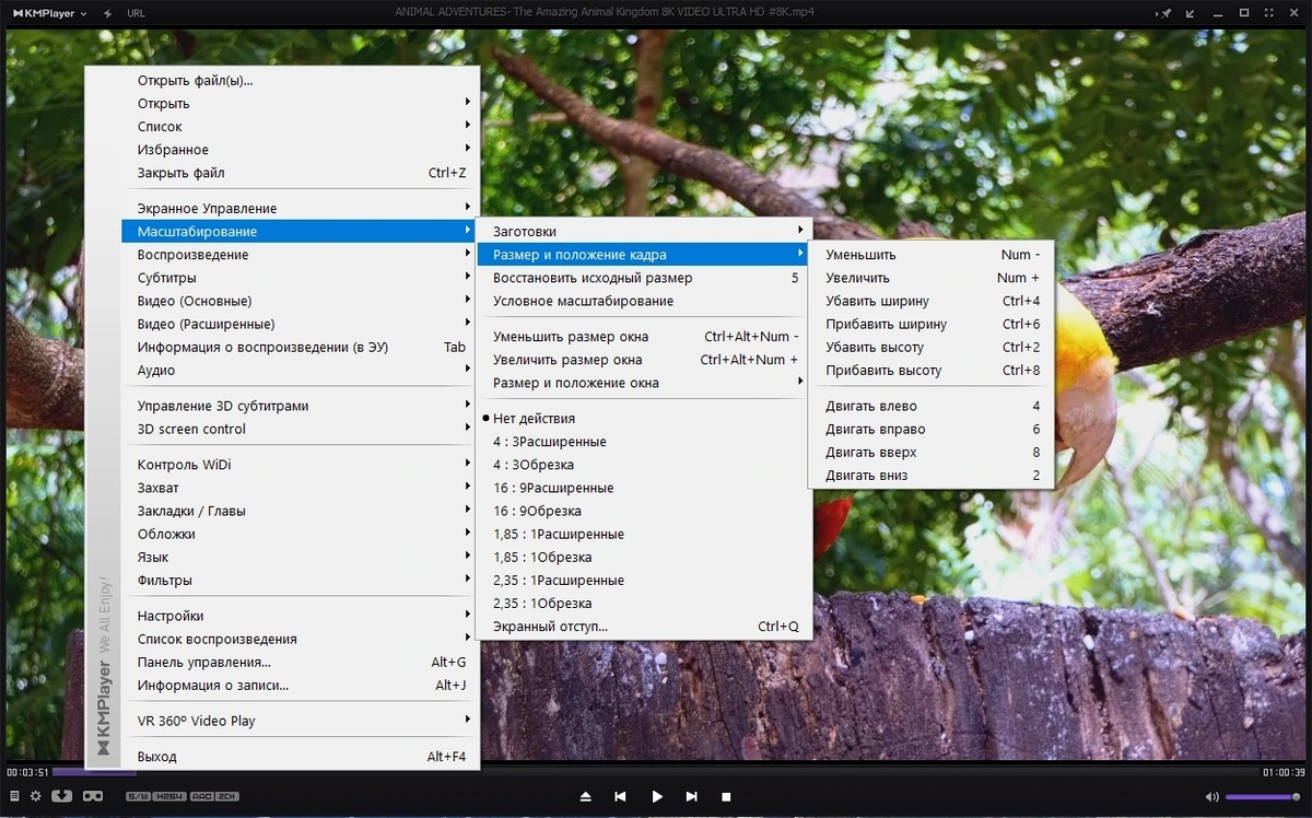 Плеер для Windows - KMPlayer 4.2.3.11 Plus (x86) Portable by 7997 — изображение 2