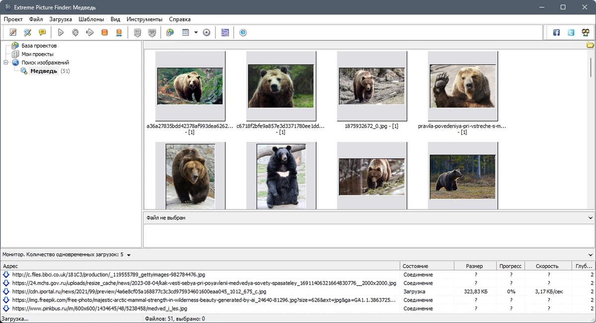 Поиск и загрузка медиафайлов - Extreme Picture Finder 3.65.10.0 RePack by TryRooM — изображение 2
