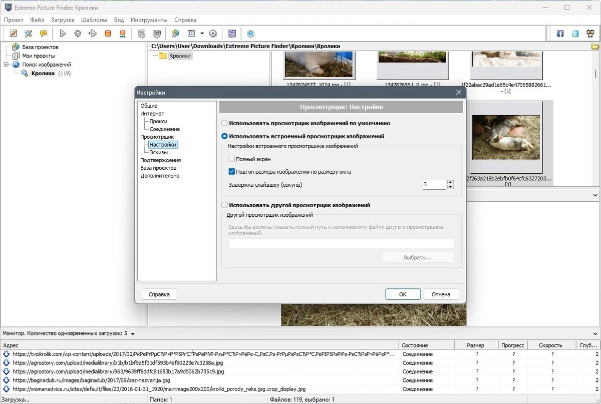 Поиск и загрузка нужных файлов - Extreme Picture Finder 3.66.8.0 Полная + Портативная версии by TryRooM — изображение 2