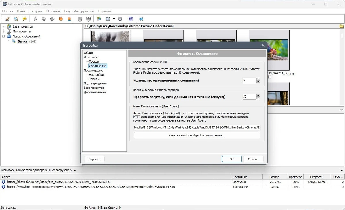 Поиск картинок по ключевым словам - Extreme Picture Finder 3.66.8.0 Полная + Портативная версии by elchupacabra — изображение 2