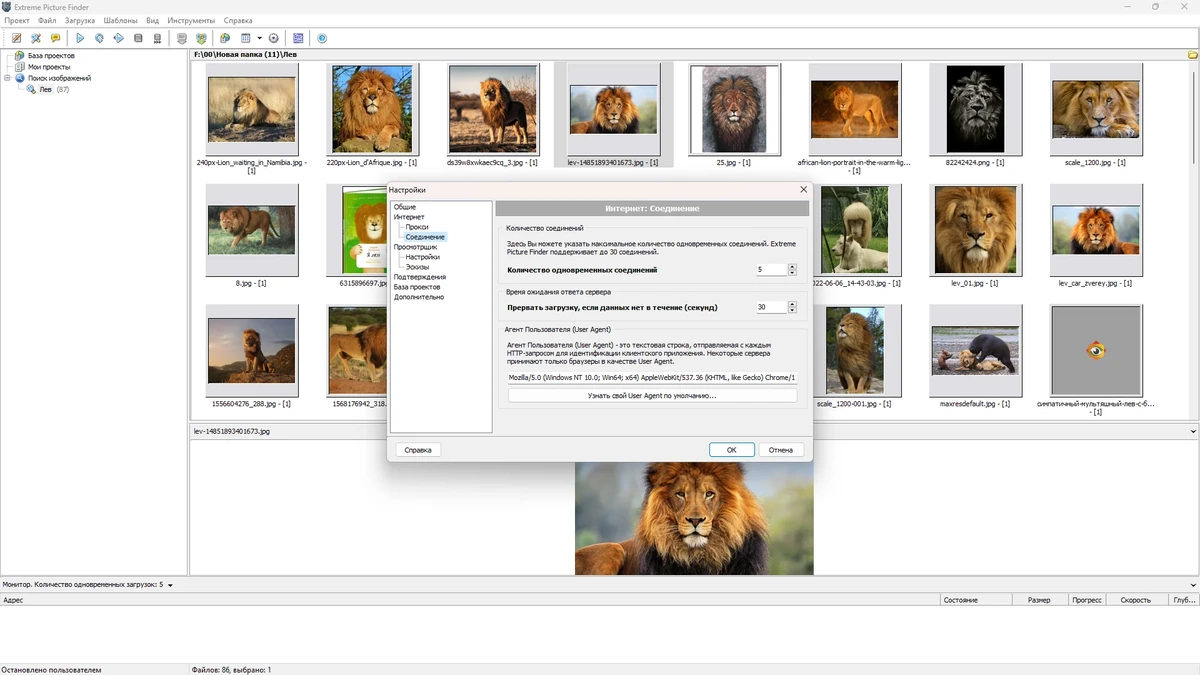 Поиск мультимедиа в сети Extreme Picture Finder 3.64.2.0 by elchupacabra — изображение 2