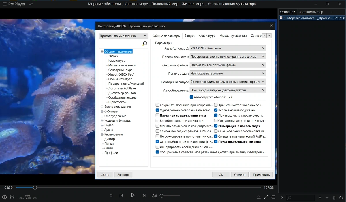 PotPlayer 240509 (1.7.22222) Stable Полная + Портативная версии by KpoJIuK — изображение 3