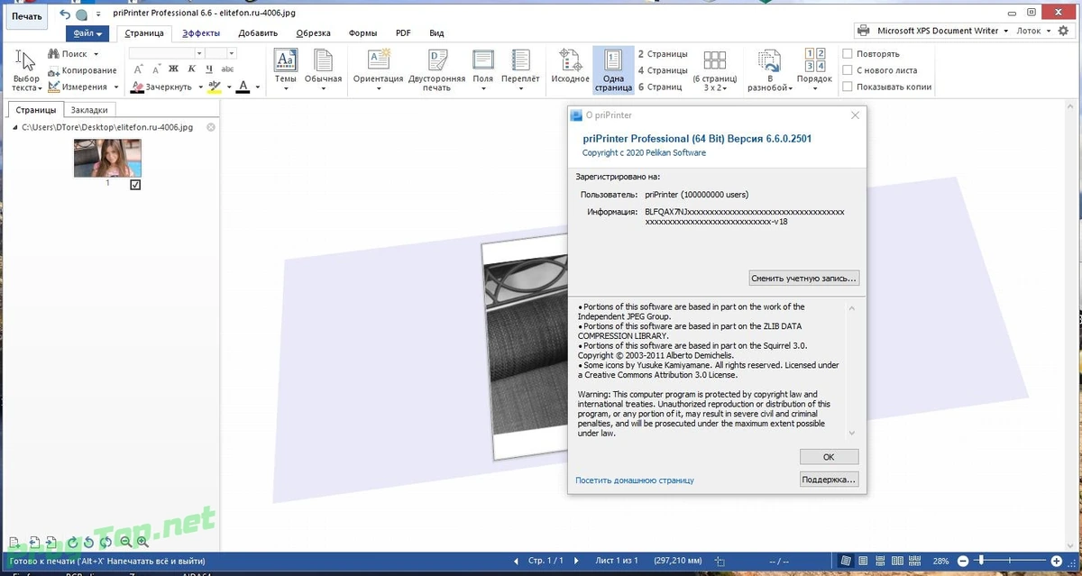 priPrinter виртуальный принтер Professional 6.6.0.2501 RePack by KpoJIuK — изображение 3
