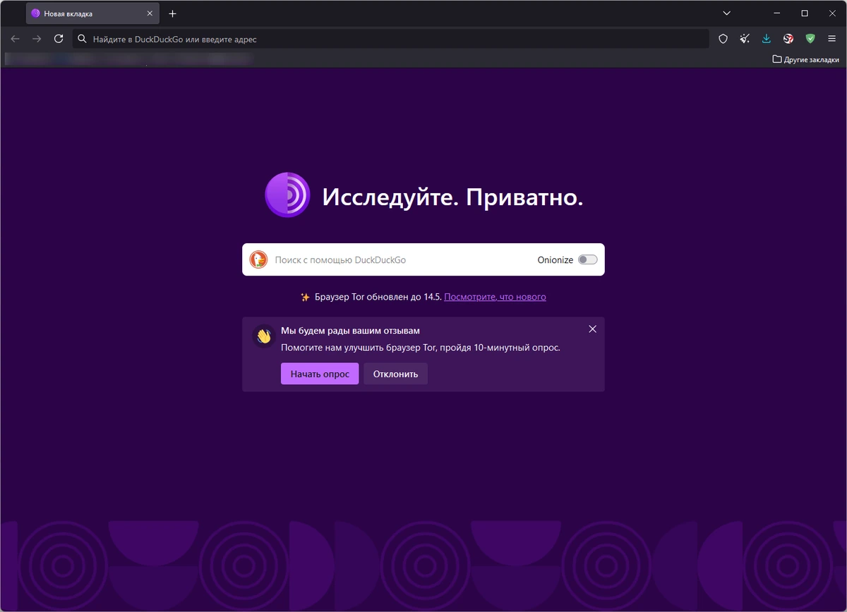 Приватный интернет серфинг Tor Browser Bundle 14.5 Portable — изображение 3