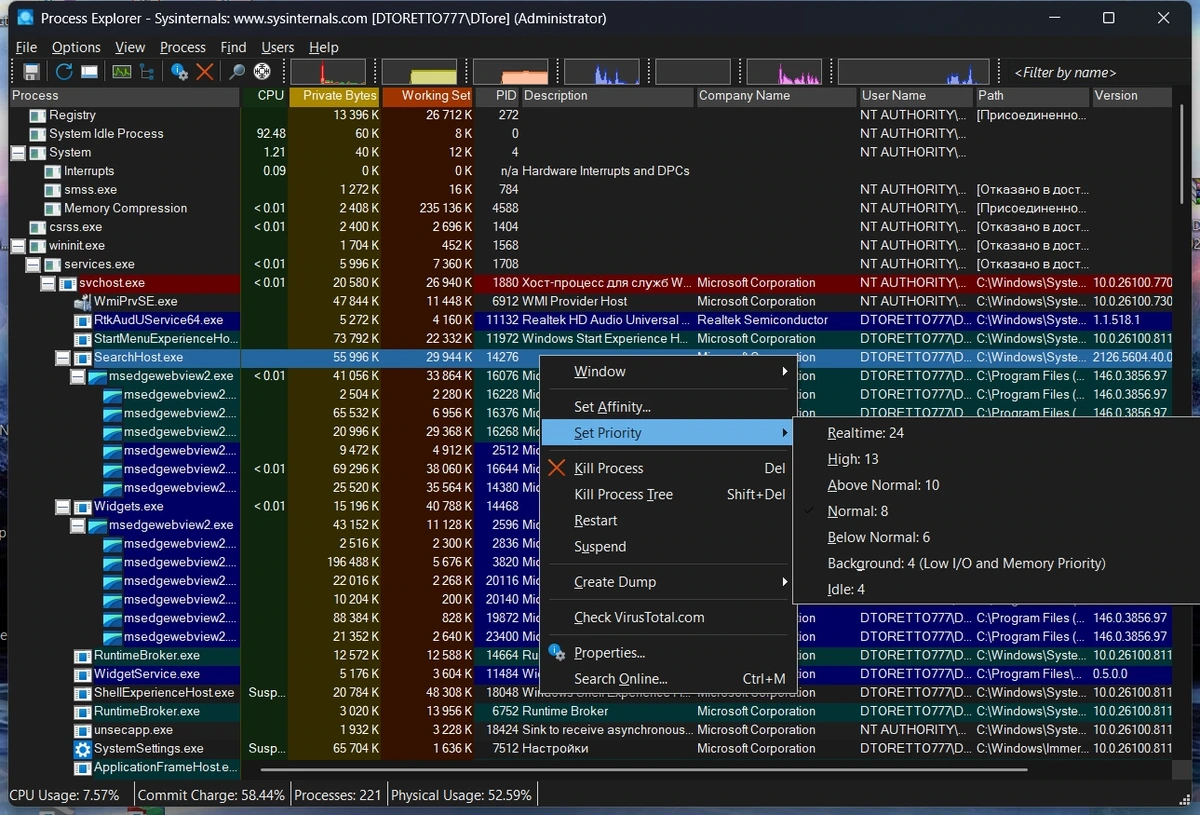 Process Explorer 17.11 Portable — изображение 3