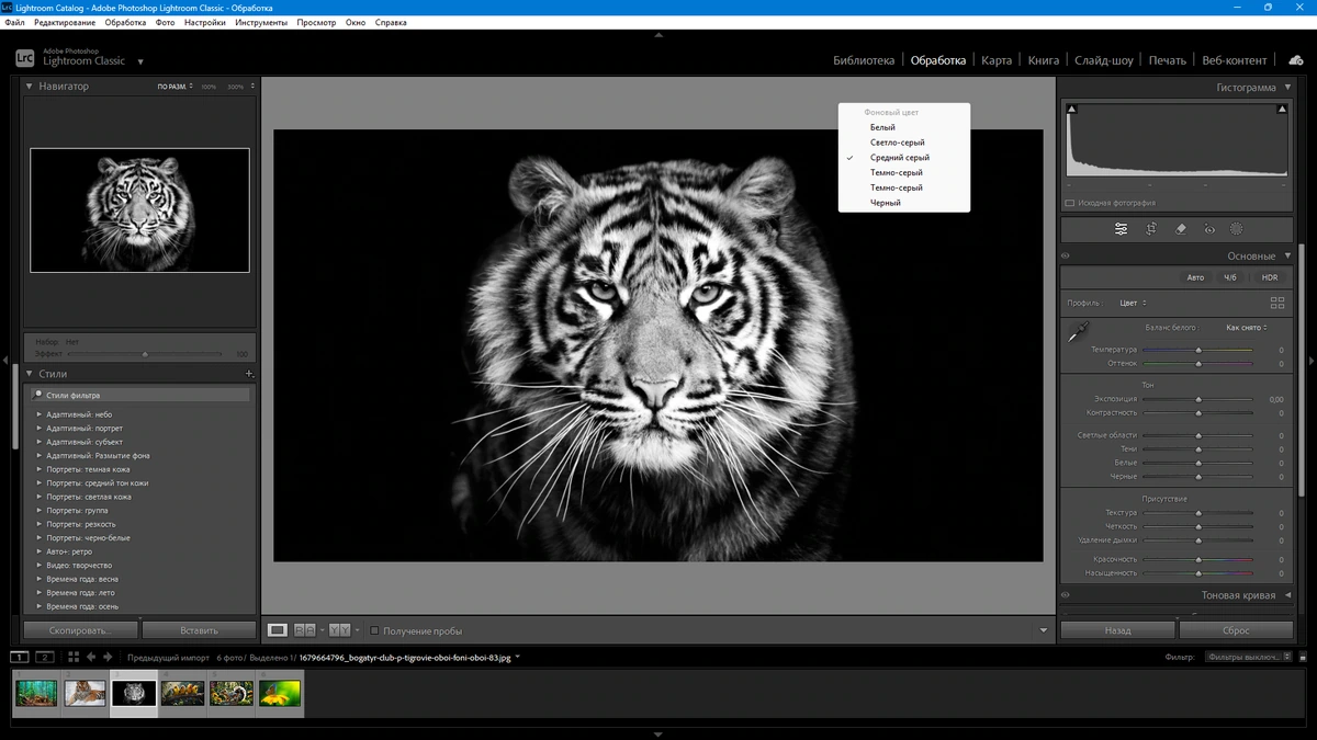 Профессиональный редактор фото Adobe Photoshop Lightroom Classic 2025 14.3.0.8 by KpoJIuK — изображение 3