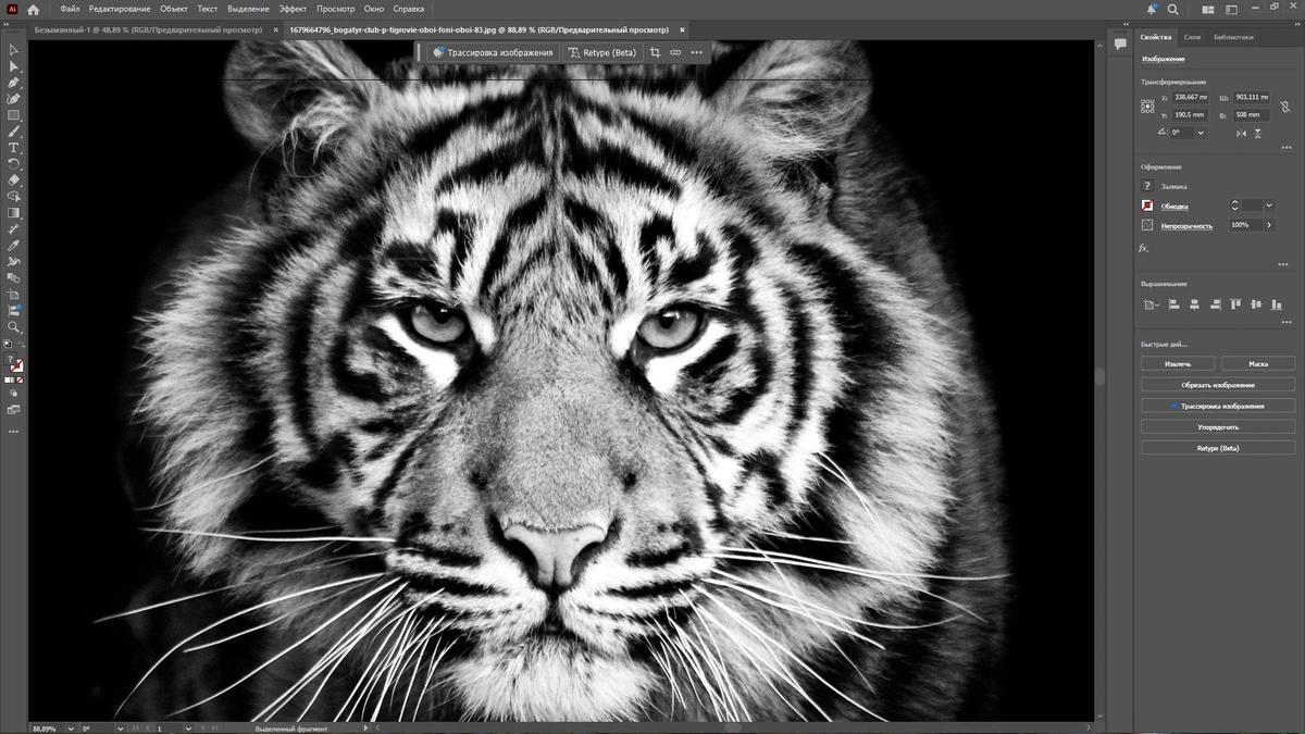 Профессиональный графический редактор Adobe Illustrator 2025 29.2.1.116 by KpoJIuK — изображение 3