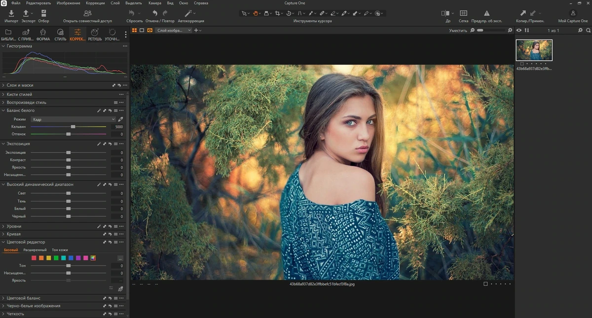 Профессиональный конвертер фотографий Capture One 23 Enterprise 16.7.8.3529 by KpoJIuK — изображение 3