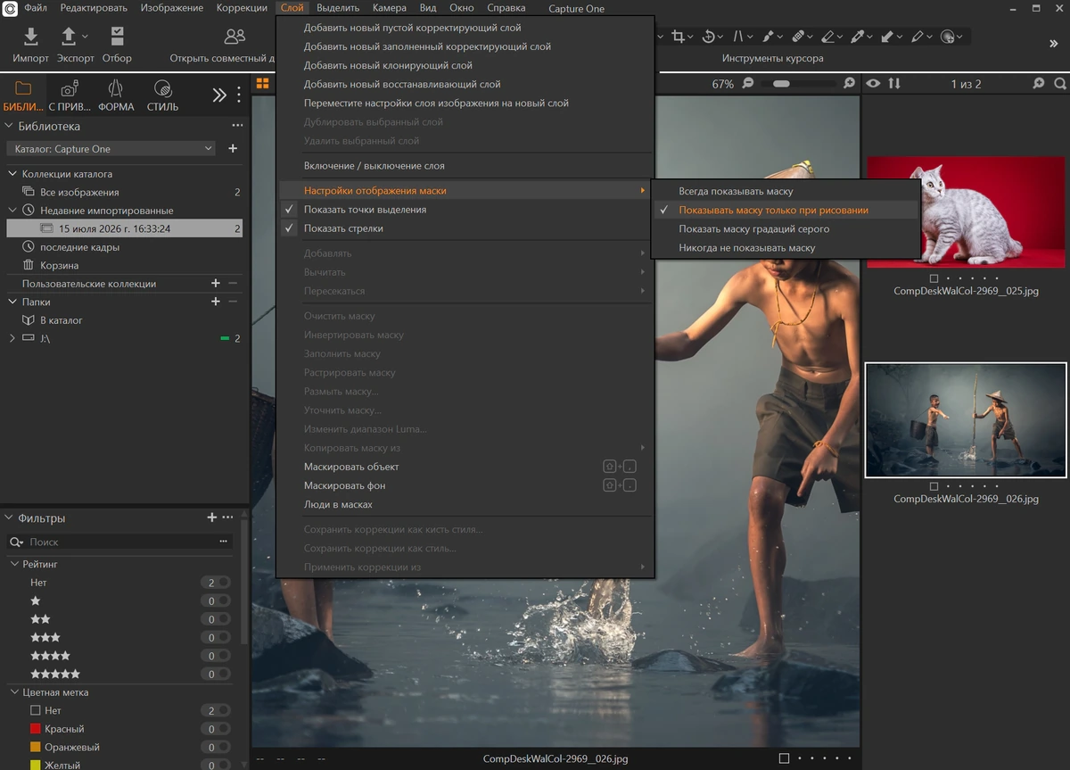 Профессиональный конвертер фотографий Capture One 23 Pro - Enterprise 16.8.4.3645 — изображение 3