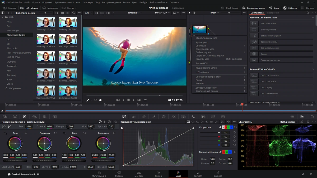 Профессиональный редактор видео Blackmagic Design DaVinci Resolve Studio 20.0 Build 49 — изображение 3