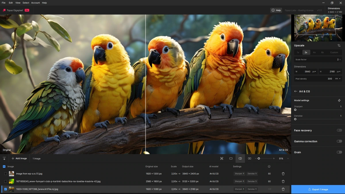 Программный фотоувеличитель Topaz Gigapixel 1.1.1 by KpoJIuK — изображение 3