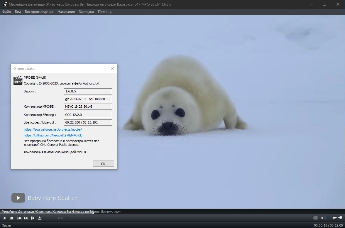 Проигрыватель видео Media Player Classic - Black Edition 1.6.8.5 Stable by elchupacabra — изображение 3