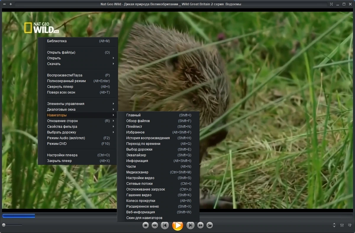 Zoom Player MAX 18.0 Build 1800 Repack + Portable by TryRooM — изображение 3