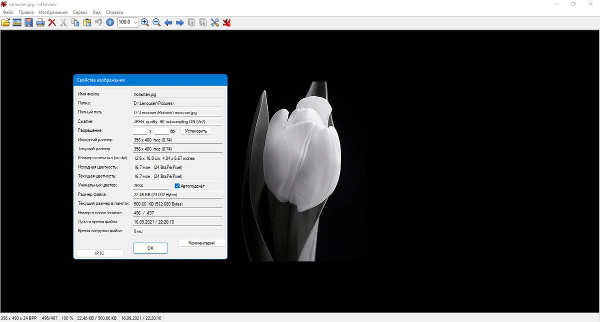 Просмотр и конвертирование изображений IrfanView 4.72 + Plugins — изображение 3