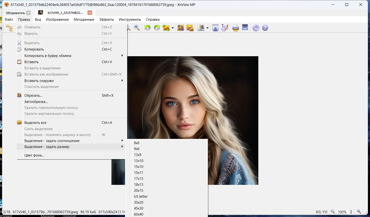 Просмотр и конвертирование изображений XnView MP 1.10.1 + Portable — изображение 3