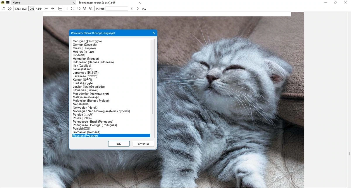 Просмотр и печать PDF, DjVu, FB2, ePub, MOBI, CHM, XPS, CBR/CBZ документов - Sumatra PDF 3.6.15983 Prerelease + Portable — изображение 3
