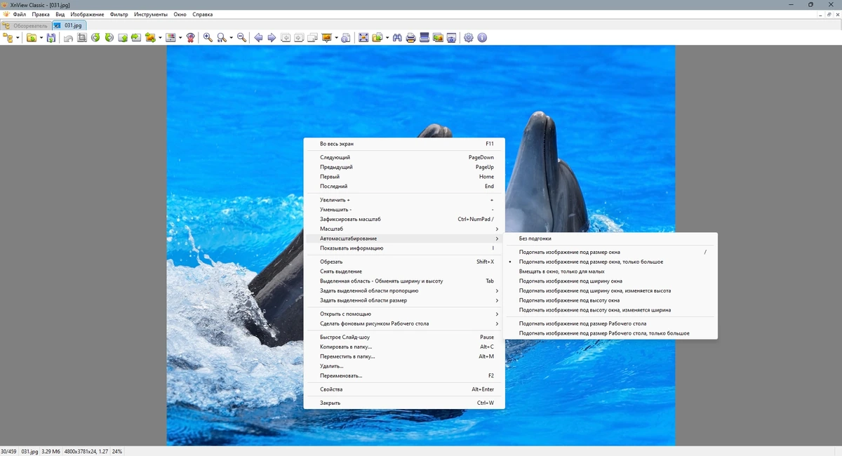 Просмотр и редактирование изображений XnView Classic 2.52.5 (Minimal-Standard-Extended) + Portable — изображение 3