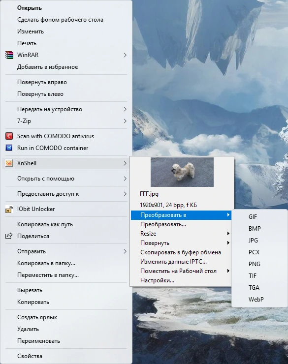 Просмотр изображений XnView Shell Extension 4.2.0 + Standalone — изображение 3