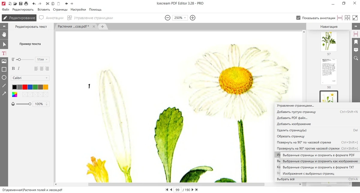 Простой PDF редактор Icecream PDF Editor Pro 3.28 — изображение 3