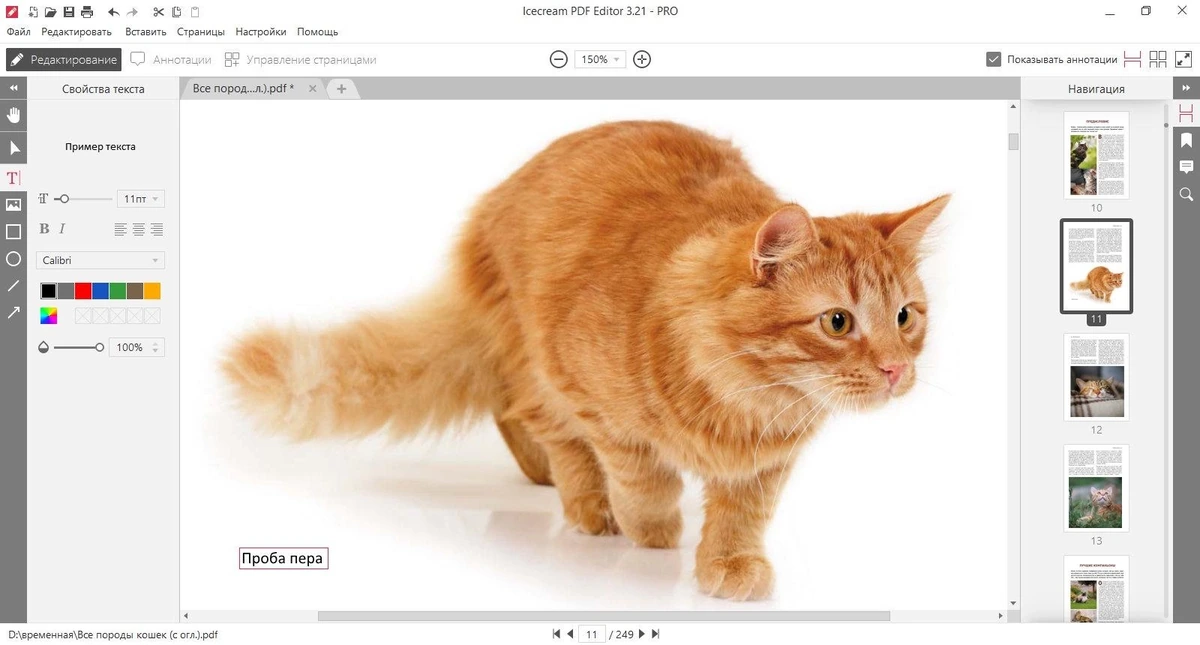 Простой редактор PDF - Icecream PDF Editor Pro 3.21 — изображение 3