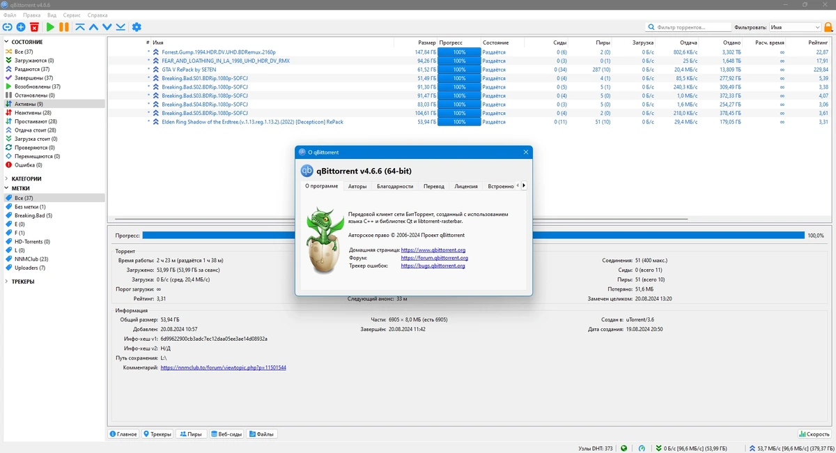 qBittorrent загрузчик торрентов 4.6.6 (x64) — изображение 3