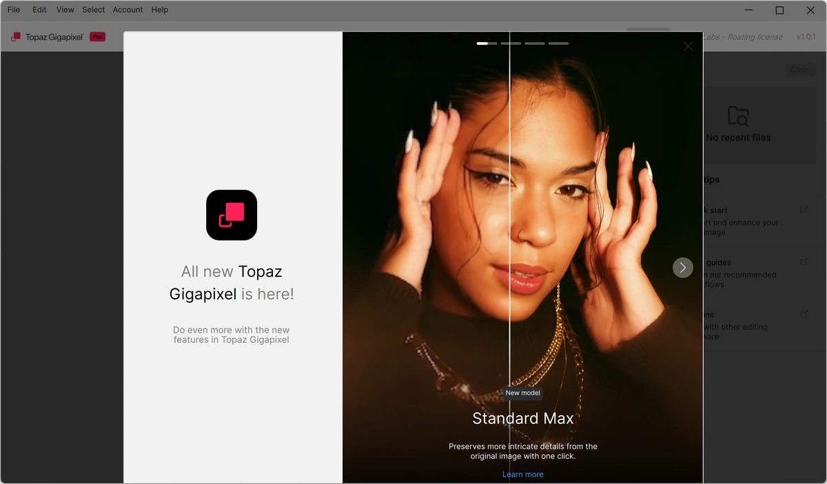 Реалистичное увеличение изображений Topaz Gigapixel 1.0.1 — изображение 3