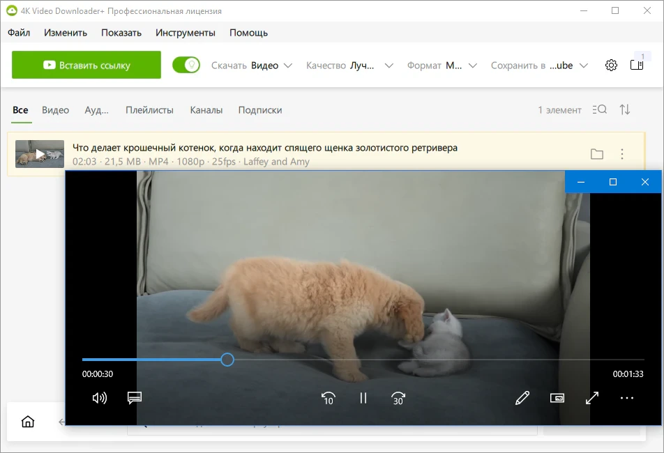 4K Video Downloader+ 26.0.1.0280 + Portable — изображение 3