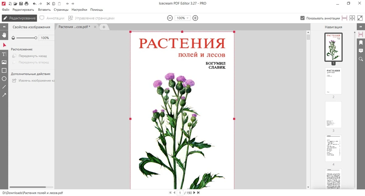 Редактирование объектов PDF файлов Icecream PDF Editor Pro 3.27 — изображение 3