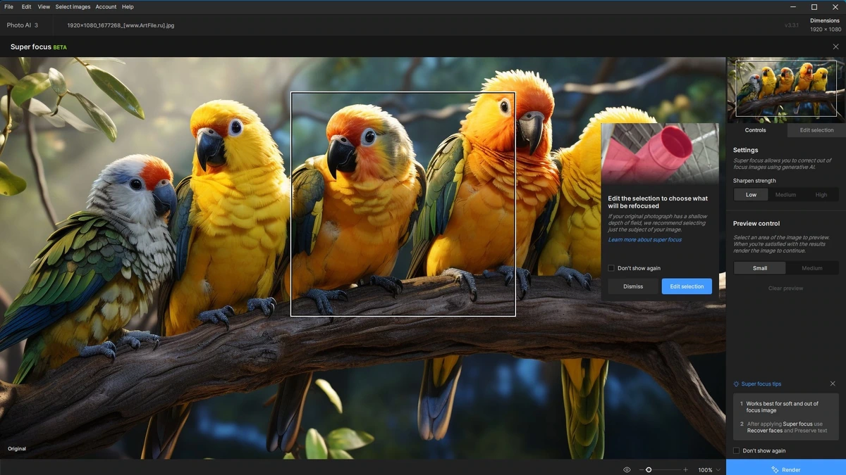 Редактор фото Topaz Photo AI 3.3.2 BETA Полная + Портативная версии by elchupacabra — изображение 3