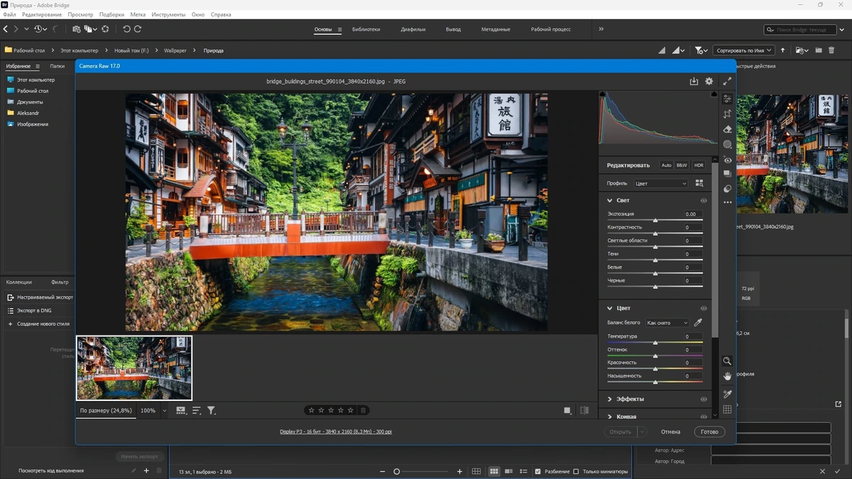 Редактор графики Adobe Bridge 2025 15.0.0.397 RePack by KpoJIuK — изображение 3