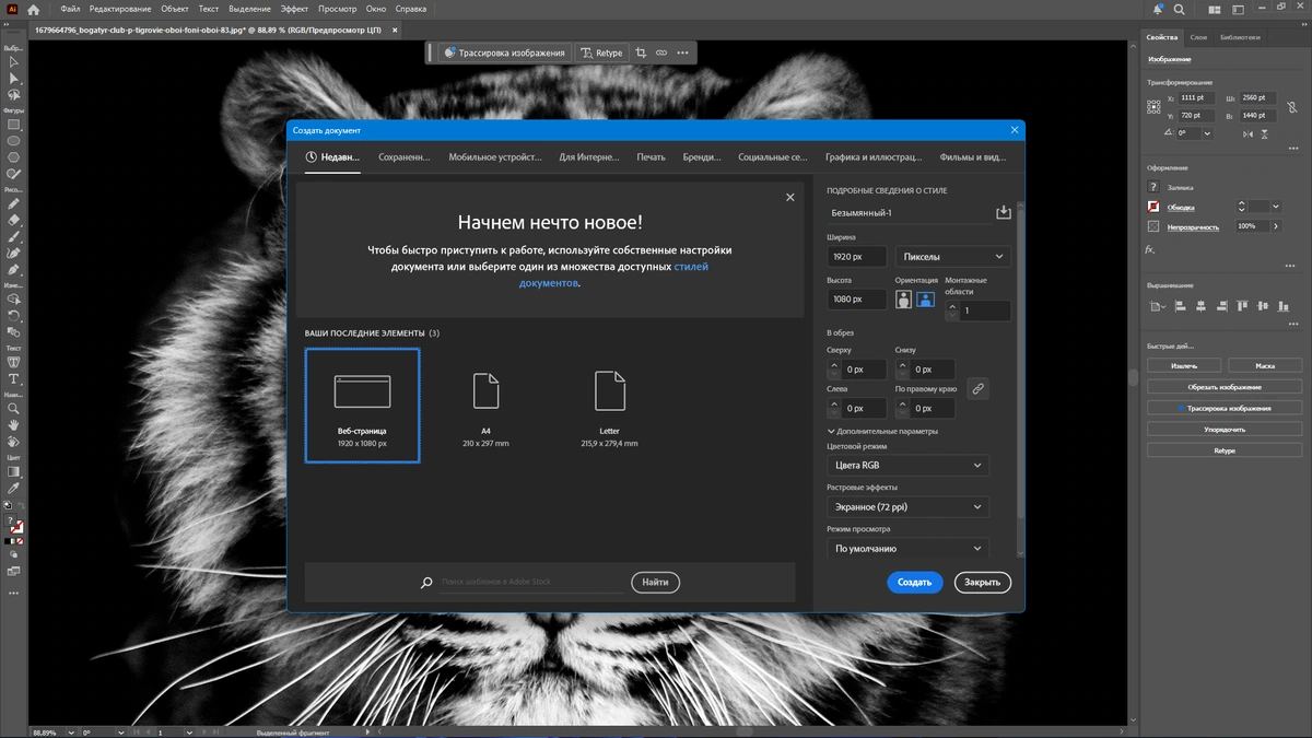 Редактор графики для дизайнеров Adobe Illustrator 2025 29.5.0.137 by KpoJIuK — изображение 3
