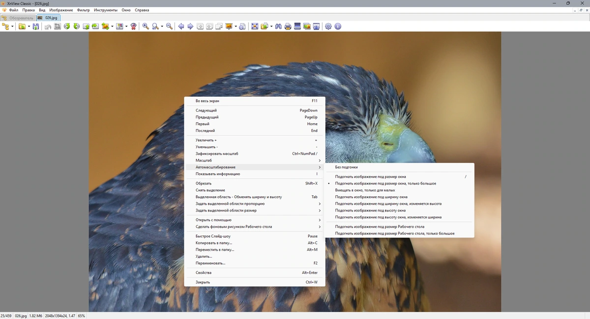 Редактор графики XnView Classic 2.52.2 (Minimal-Standard-Extended) + Portable — изображение 3