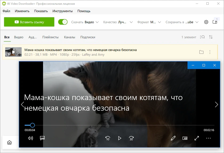 4K Video Downloader+ 26.0.3.0285 + Portable — изображение 3