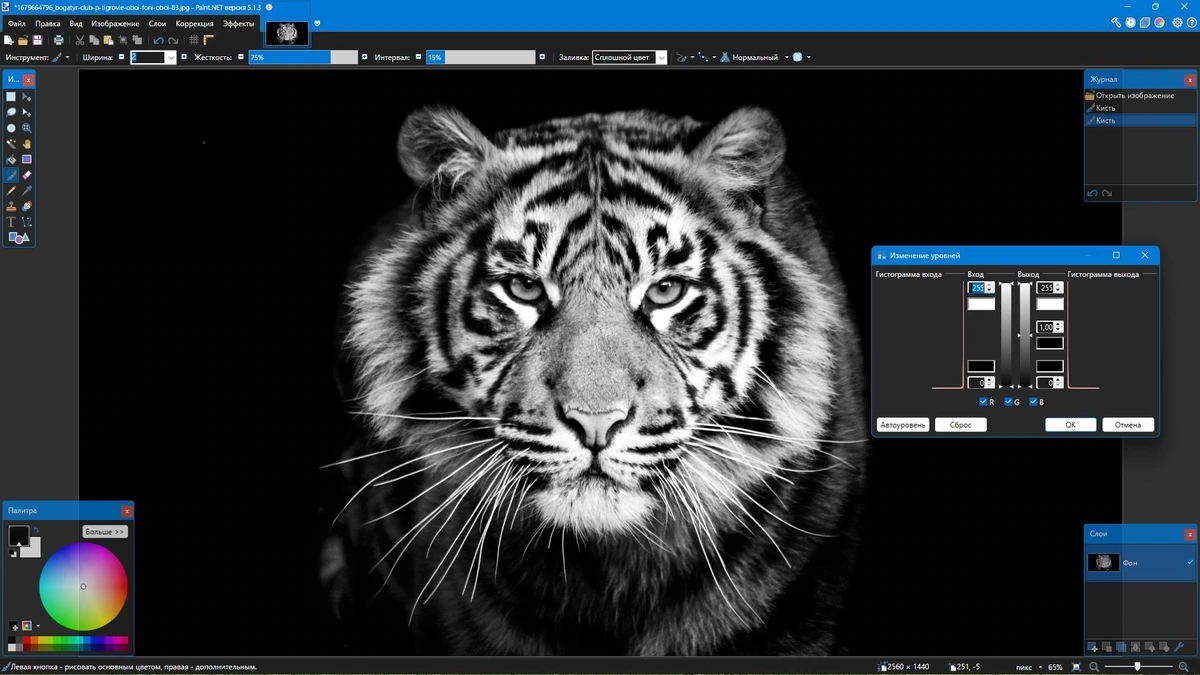 Редактор изображений Paint.NET 5.1.3 Final + Portable — изображение 3