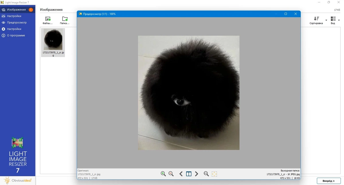 Редактор картинок Light Image Resizer 7.1.2.64 — изображение 3