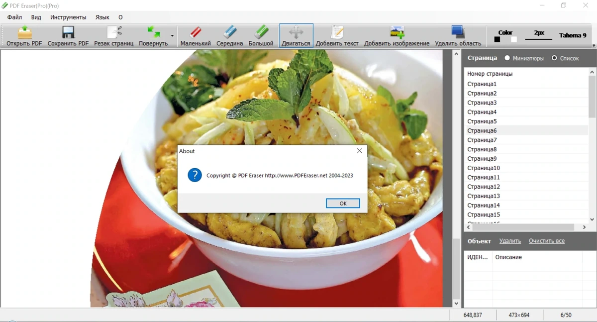 Редактор PDF файлов PDF Eraser Pro 1.9.8.2 Portable by Spirit Summer — изображение 3